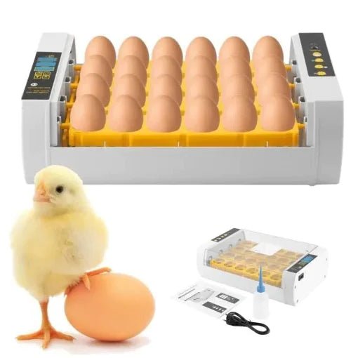 Automatic Egg Incubator for Chicken and Quail with 24 Egg Capacity - craftmasterslate