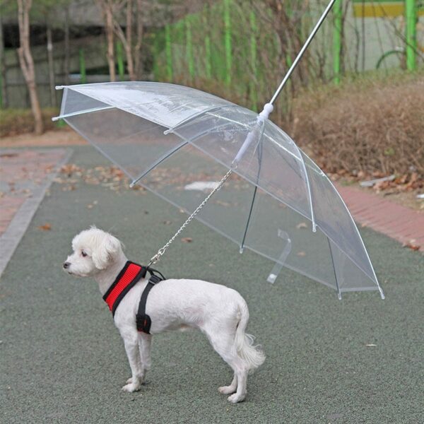 Rainproof Umbrella Dog Leash For Small Dogs - craftmasterslate